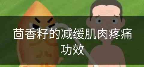 茴香籽的减缓肌肉疼痛功效